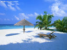 5ˆ4¡gҸݳ죩֧ލu+ѽZ_(d)+С+ĺǵȾc(din)߅Ƶ꺣4B